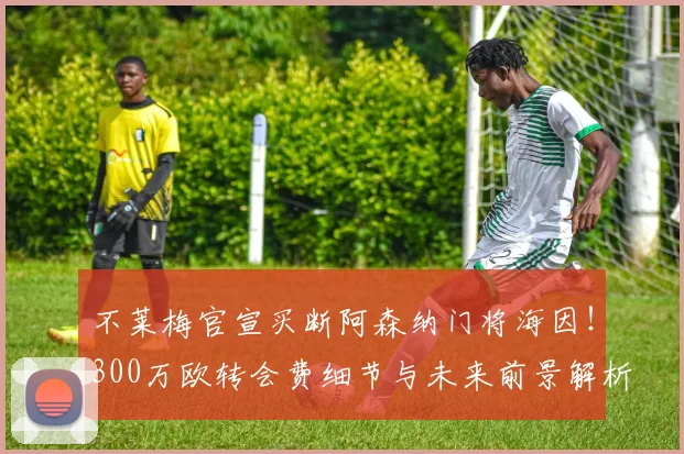 不莱梅官宣买断阿森纳门将海因！300万欧转会费细节与未来前景解析