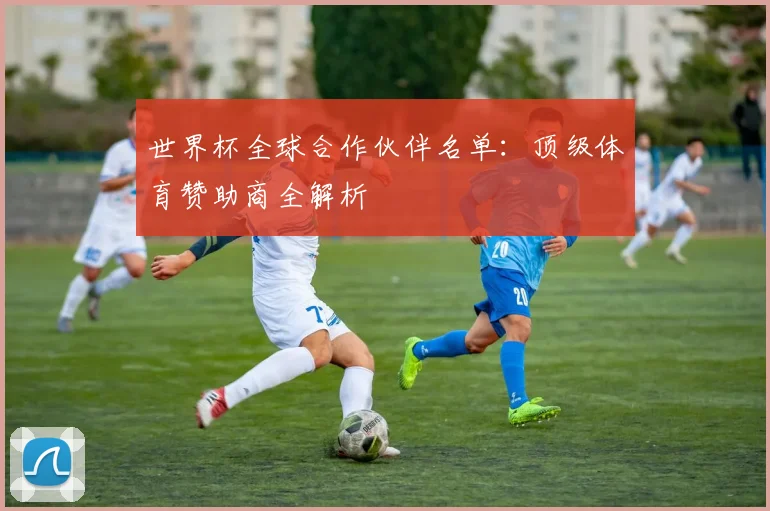 世界杯全球合作伙伴名单:顶级体育赞助商全解析